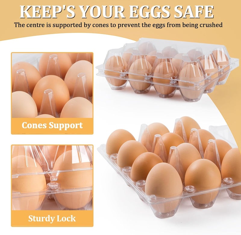 APOCHON 120 Pack Egg Cartons 12 Count, Plastic Egg Cartons Cheap Bulk for Fresh Eggs, Reusable Egg Holder Egg Trays for Home and Farmer's Markets Display, Medium Egg Containers for Refrigerator - Image 4